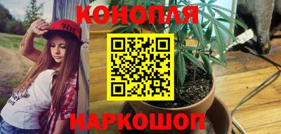 PSILOCYBIN Гусев