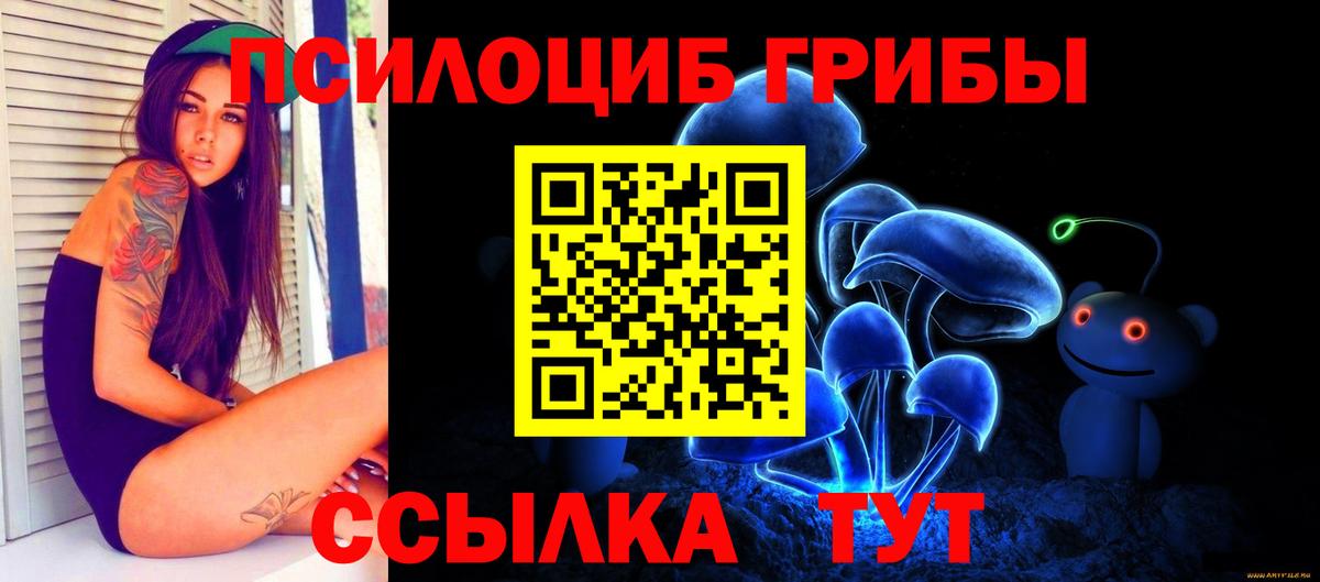 Псилоцибиновые грибы ЛСД Мытищи