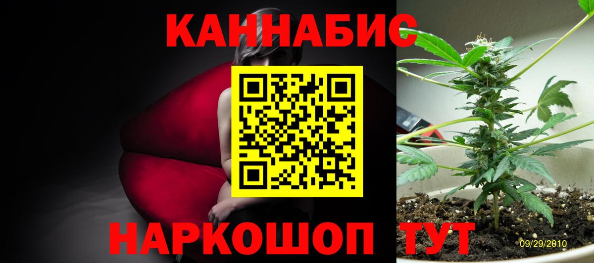 Каннабис индика Мытищи